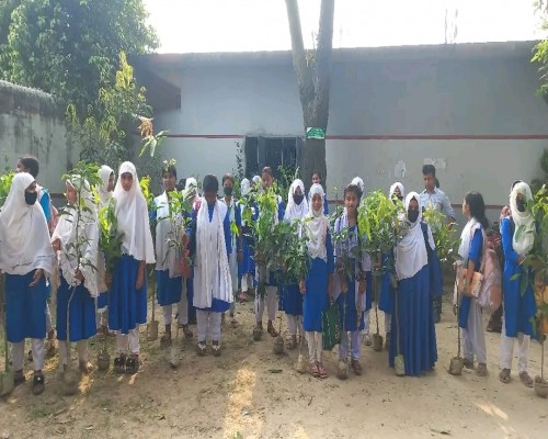 গাছ বিতরন